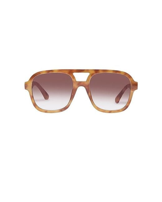 Aire Brown Whirlpool Sunglasses