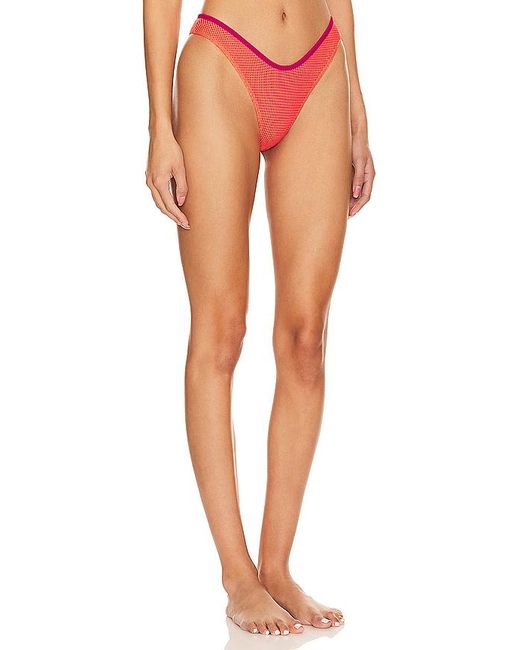 lovewave Orange The Kimi Bottom