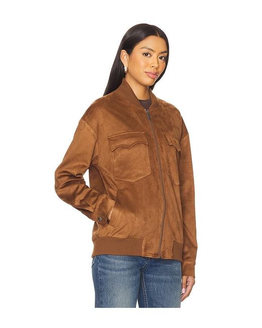 Steve Madden Multicolor Dean Jacket