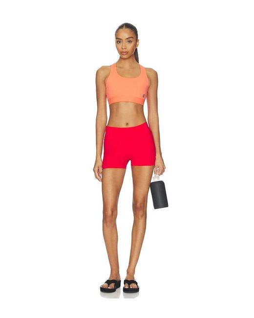 On Shoes Red Core Bra