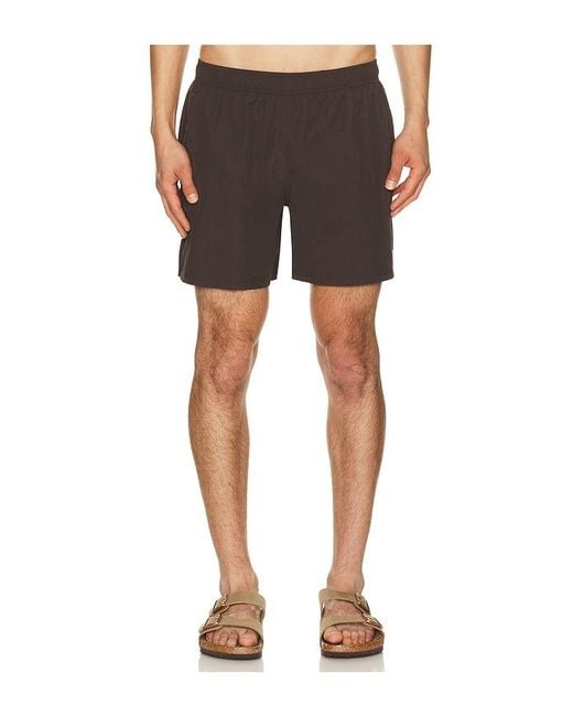 AUTO-REPLY Black 5.5 Solid Sebastian Swim Trunk for men