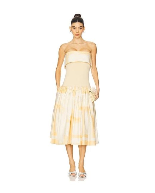 Alexis White Robia Dress