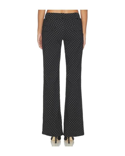 Tiger Mist Black Kittie Pant