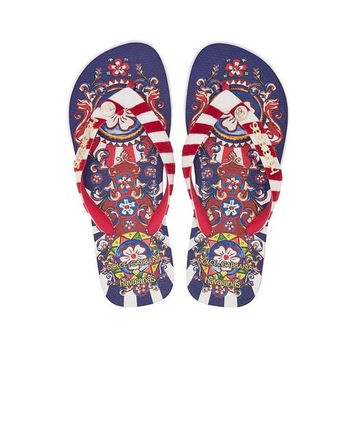 Havaianas X Dolce Gabbana Circus Sandal in Blue Lyst