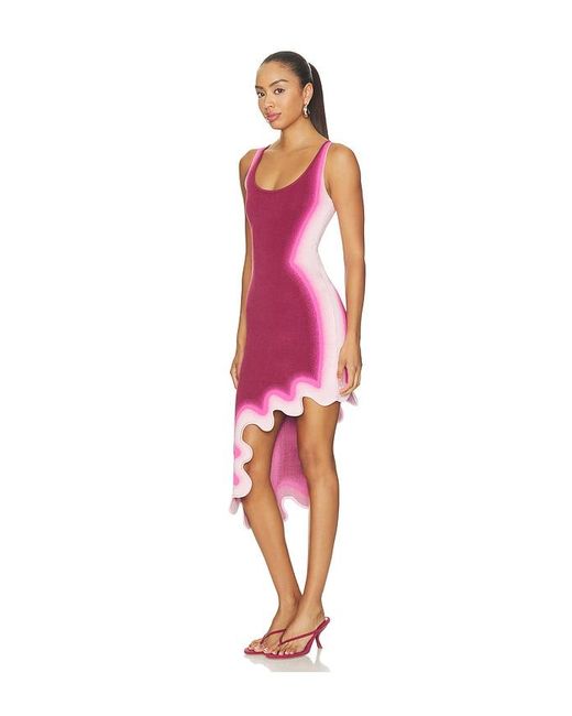 Ph5 Red Aster Reversible Wavy Dress