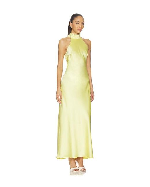 Steve Madden Metallic Lara Dress