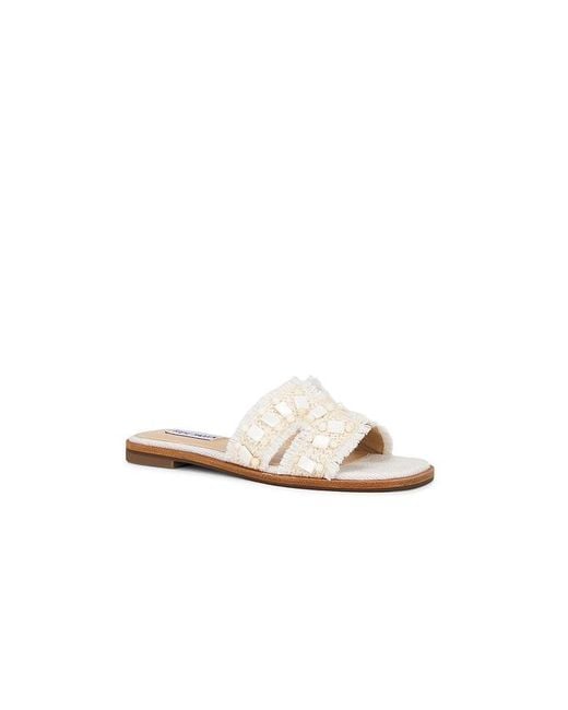 Steve Madden White Hadyn Self Sandal