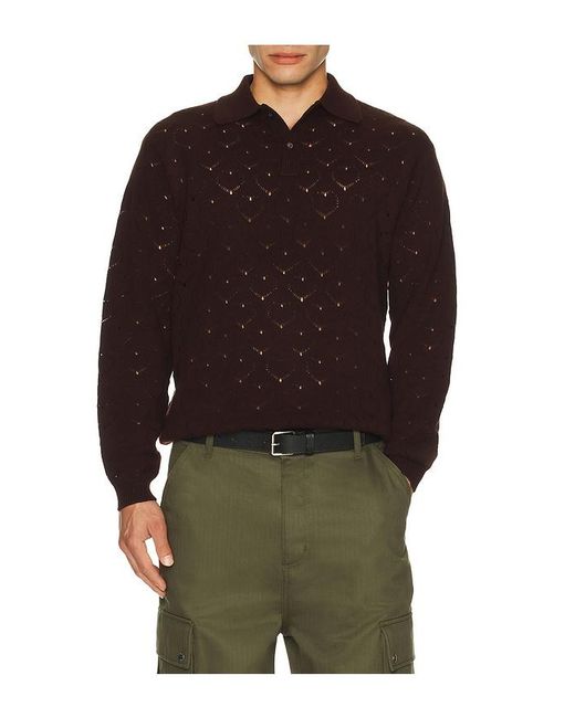 vowels Brown Eyelet Polo for men