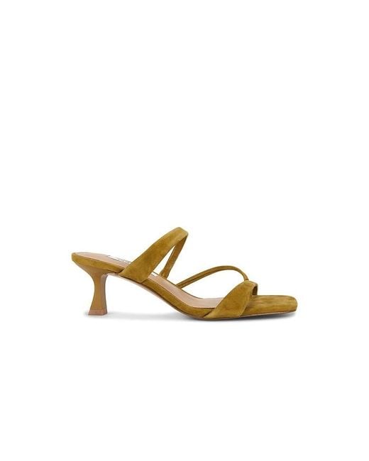 Steve Madden Metallic Ajay Sandal