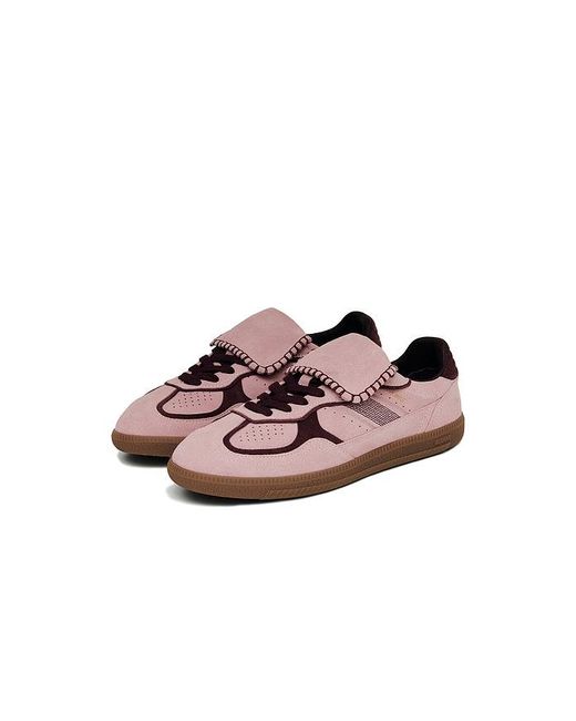 Alohas Multicolor Tb.490 Club Suede Sneaker