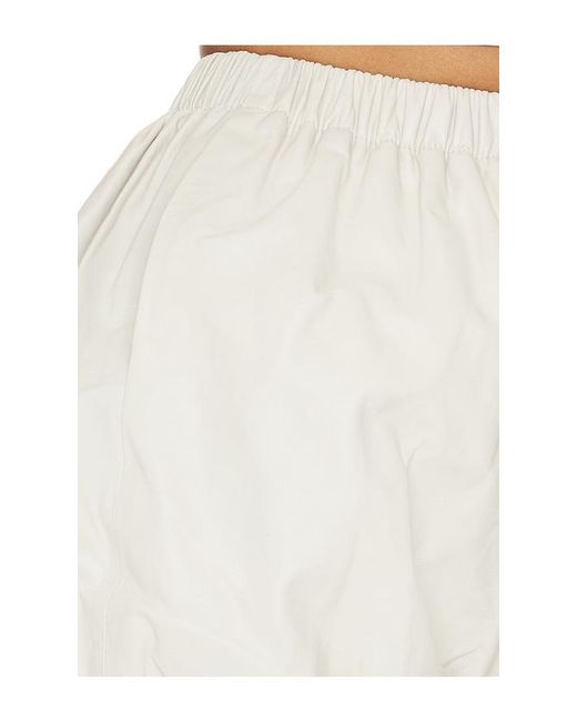 Lamarque White Daisy Short