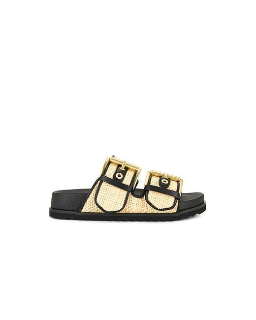 AllSaints Black Sandalen Aus Raphiabast Sian