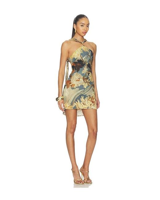 Cult Gaia Multicolor Alex Dress