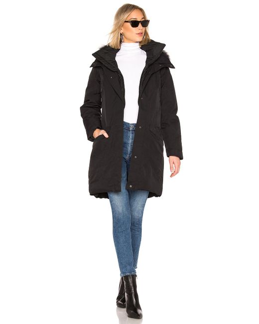north face women's expedition jacket