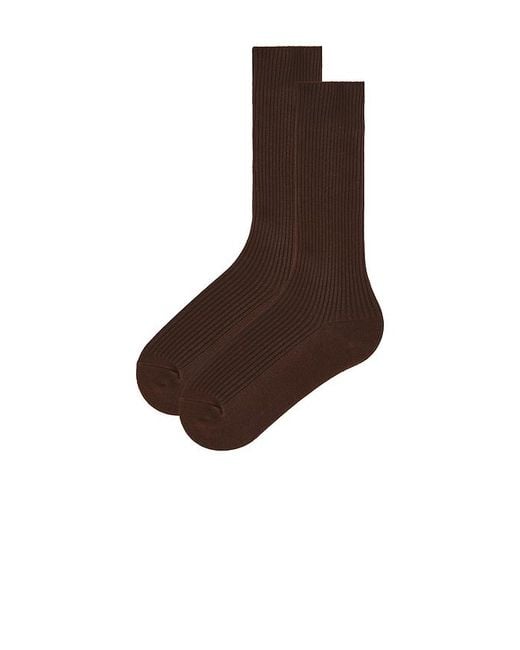 ÉTERNE Brown Classic Rib Socks