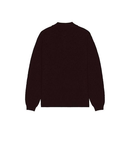 vowels Brown Eyelet Polo for men