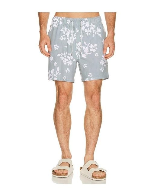Vintage Summer Blue Seersucker Strech Volley Swim Trunks for men