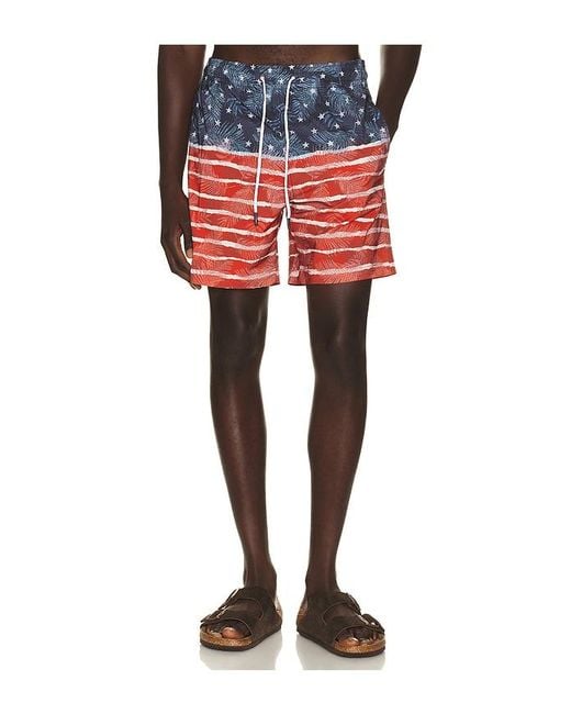 Trunks Surf & Swim Red Sano 6.5 Swim Short for men