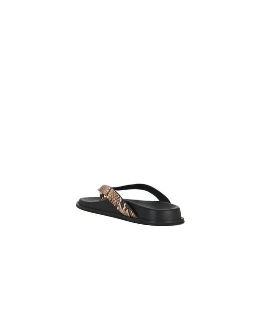 PAIGE Black Zadie Sandal