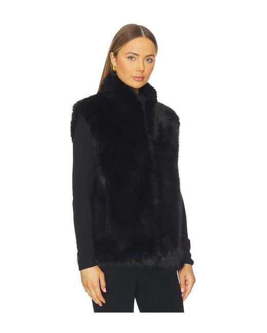 Apparis Black Laila Sable Vest