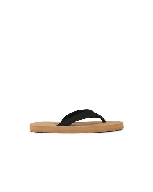 Senso Multicolor Kenny Flip Flop