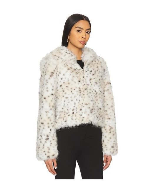 Free People Multicolor Louder Please Hooded Jacket