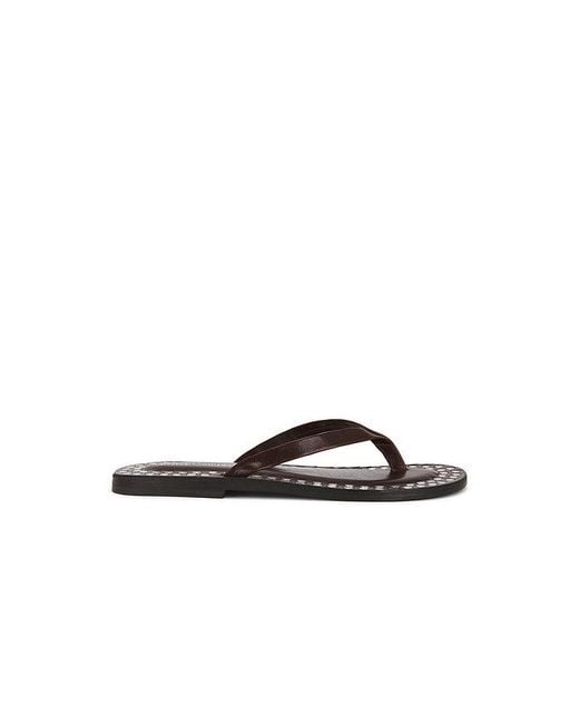 Jeffrey Campbell Brown Katrina Strap Sandal