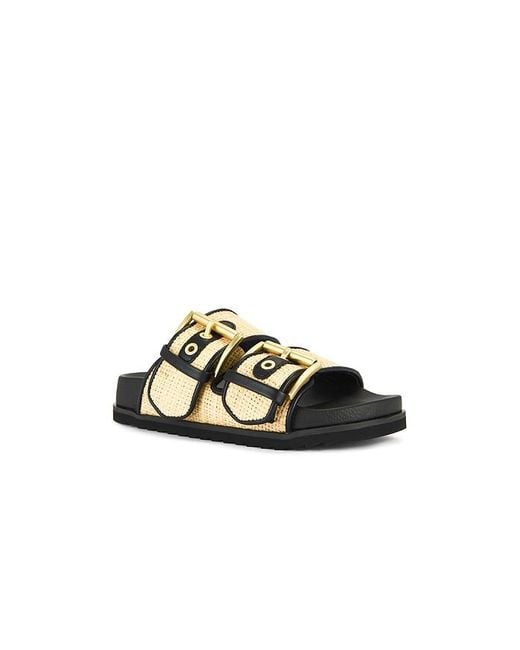 AllSaints Black Sandalen Aus Raphiabast Sian