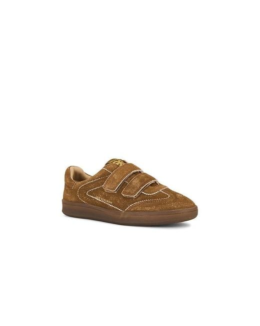 Sam Edelman Brown Talia Sneaker