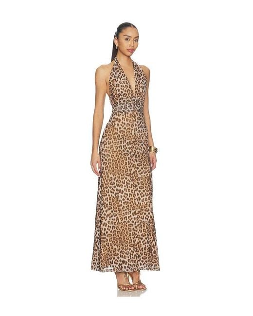 Bardot Natural Elera Printed Mesh Maxi Dress