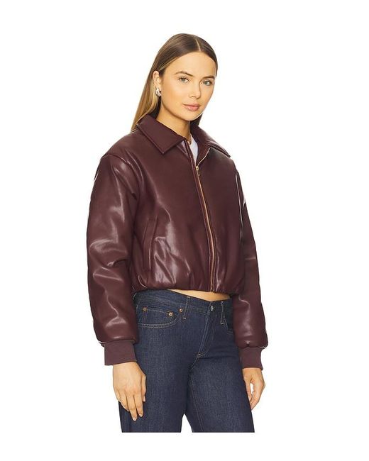 SNDY'S Purple Thorne Bomber Jacket