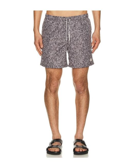 Bather Multicolor Printed Classic Swim Trunk for men
