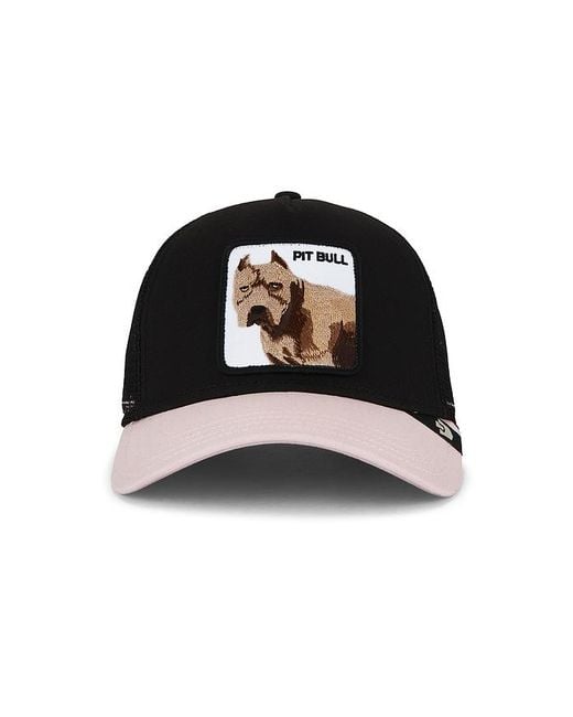 Goorin Bros Black The Pitbull Trucker Hat for men