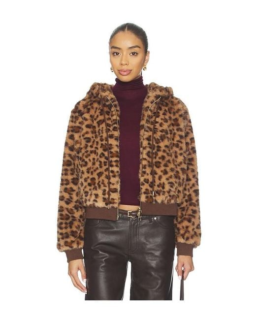 Le Superbe Brown Windward Hoodie