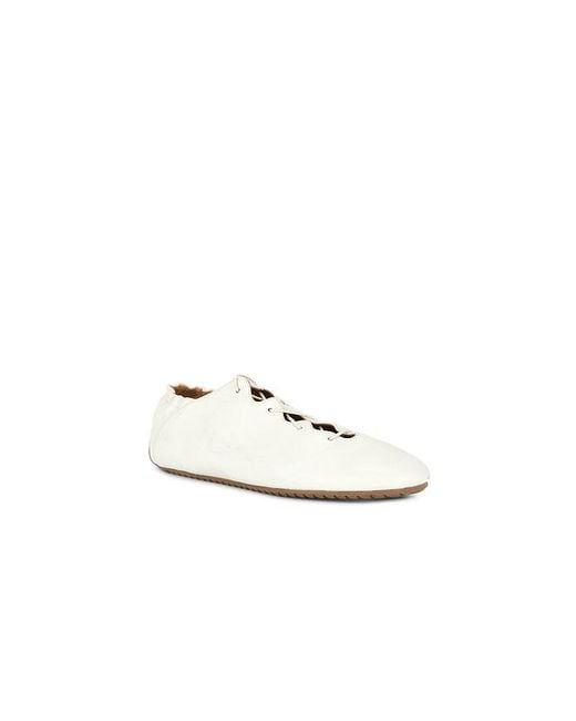 Odissi White Milly Scallop Flat