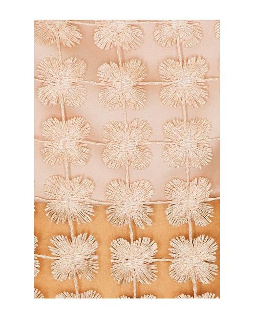 Saylor Natural Elie Set