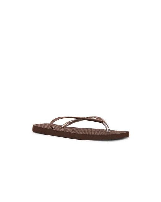 Havaianas Brown Slim Square Sandal