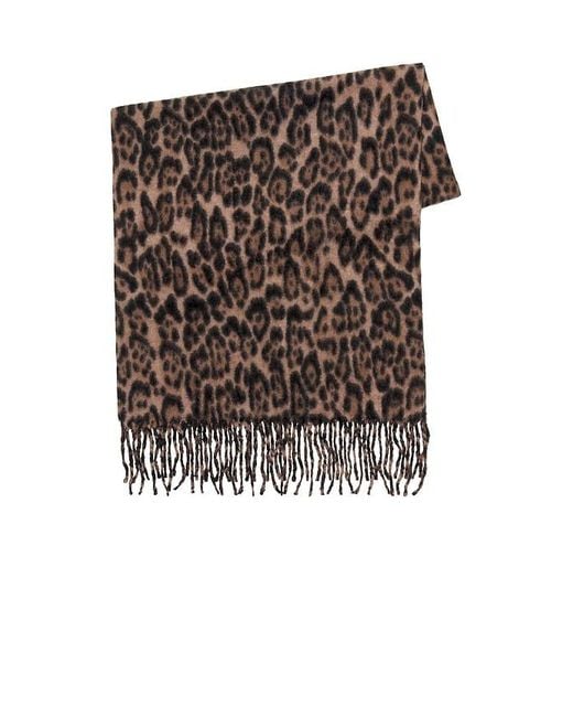 ÉCHARPE LEOPARD en Brown. Hat Attack