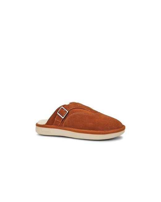 Brunch Brown Amour Shearling for men