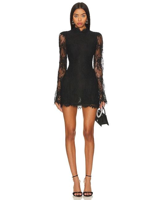 Stone Cold Fox Black KLEID NOOSA