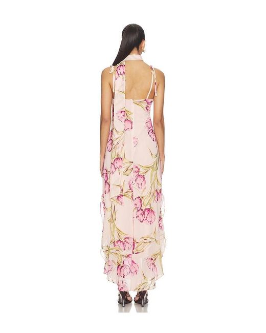 Steve Madden White Jaila Dress
