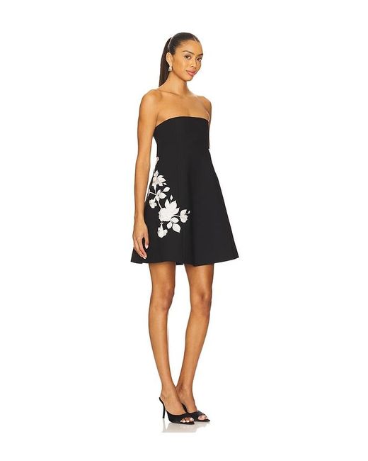 Cinq À Sept Black Minikleid Trailing