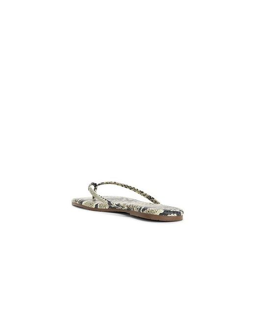 TKEES Multicolor Square Toe Lily Sandal