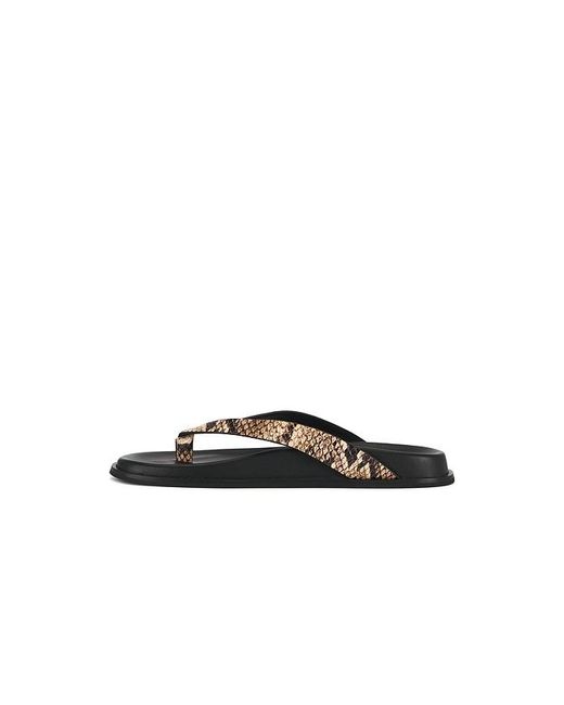 PAIGE Black Zadie Sandal