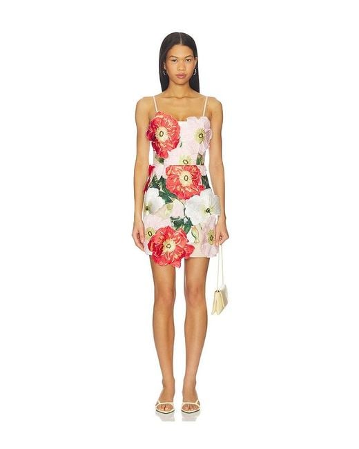 Elliatt Red Solara Mini Dress