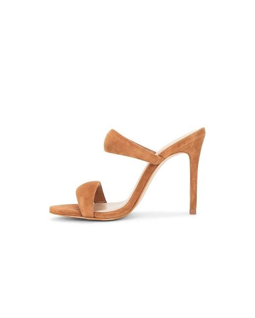 Steve Madden Multicolor Saturn Sandal