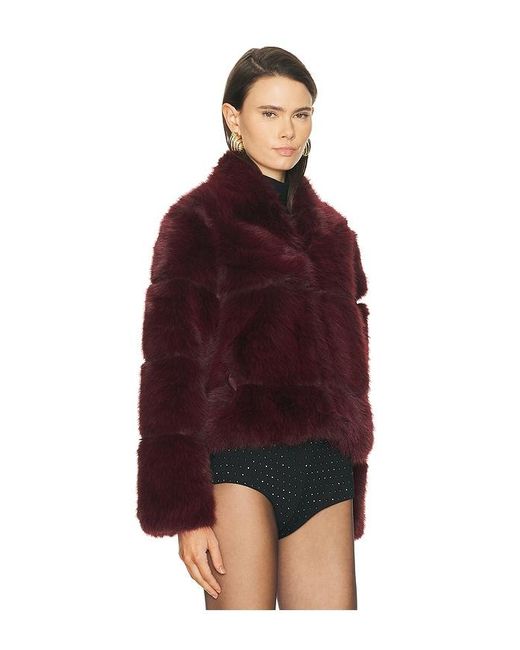 Apparis Red Sai Sable Coat