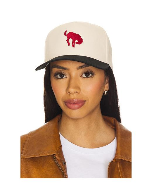 Darling Multicolor Horse Cap