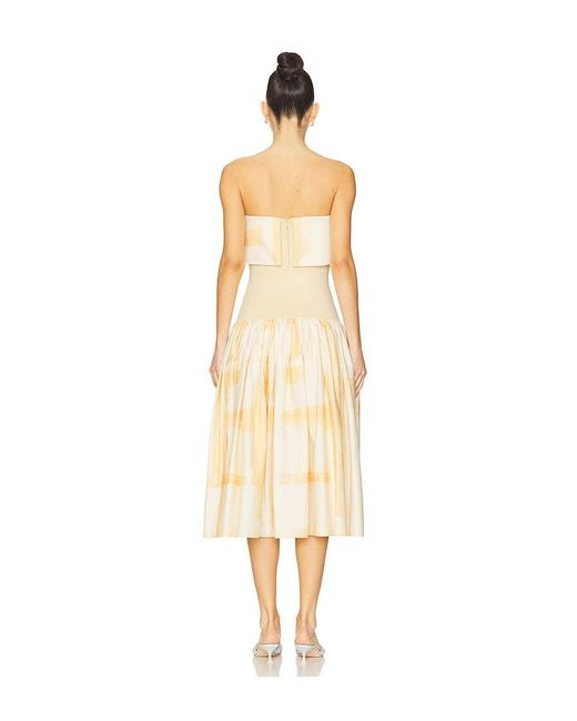 Alexis White Robia Dress