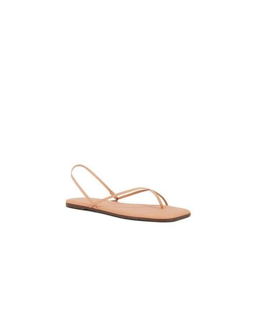 TKEES White Square Toe Millie Sandal